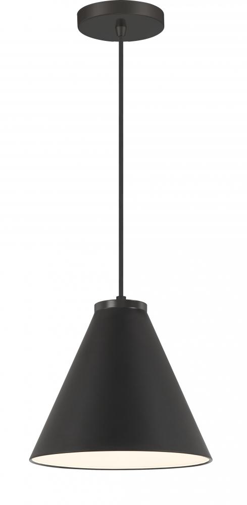 1 LIGHT, HANGING CONICAL FIXTURE