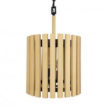 Varaluz 387P02MBH - Suratto 2-Lt   Pendant - Matte Black/Honey Blonde