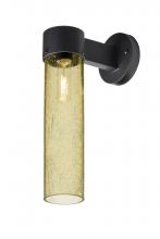 Besa Lighting JUNI16GD-WALL-BK - Besa, Juni 16 Outdoor Sconce, Gold Bubble, Black Finish, 1x60W Medium Base