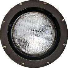 Dabmar FG4200 - FIBERGLASS WELL LIGHT PAR38 120V