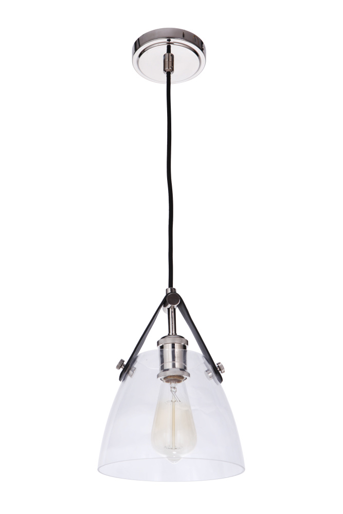 1 Light Pendant