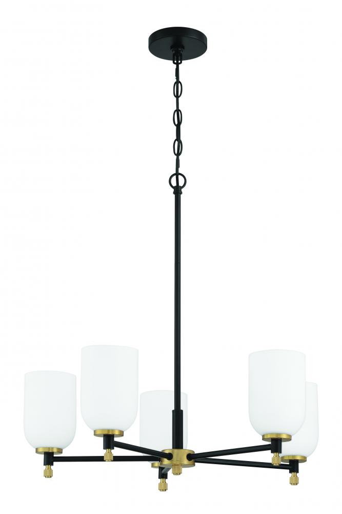5 Light Chandelier