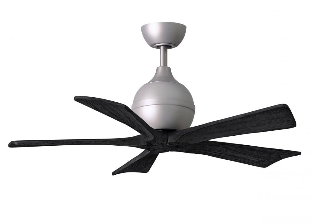 Irene5 42" Ceiling Fan in Brushed Nickel and Matte Black Blades IR5
