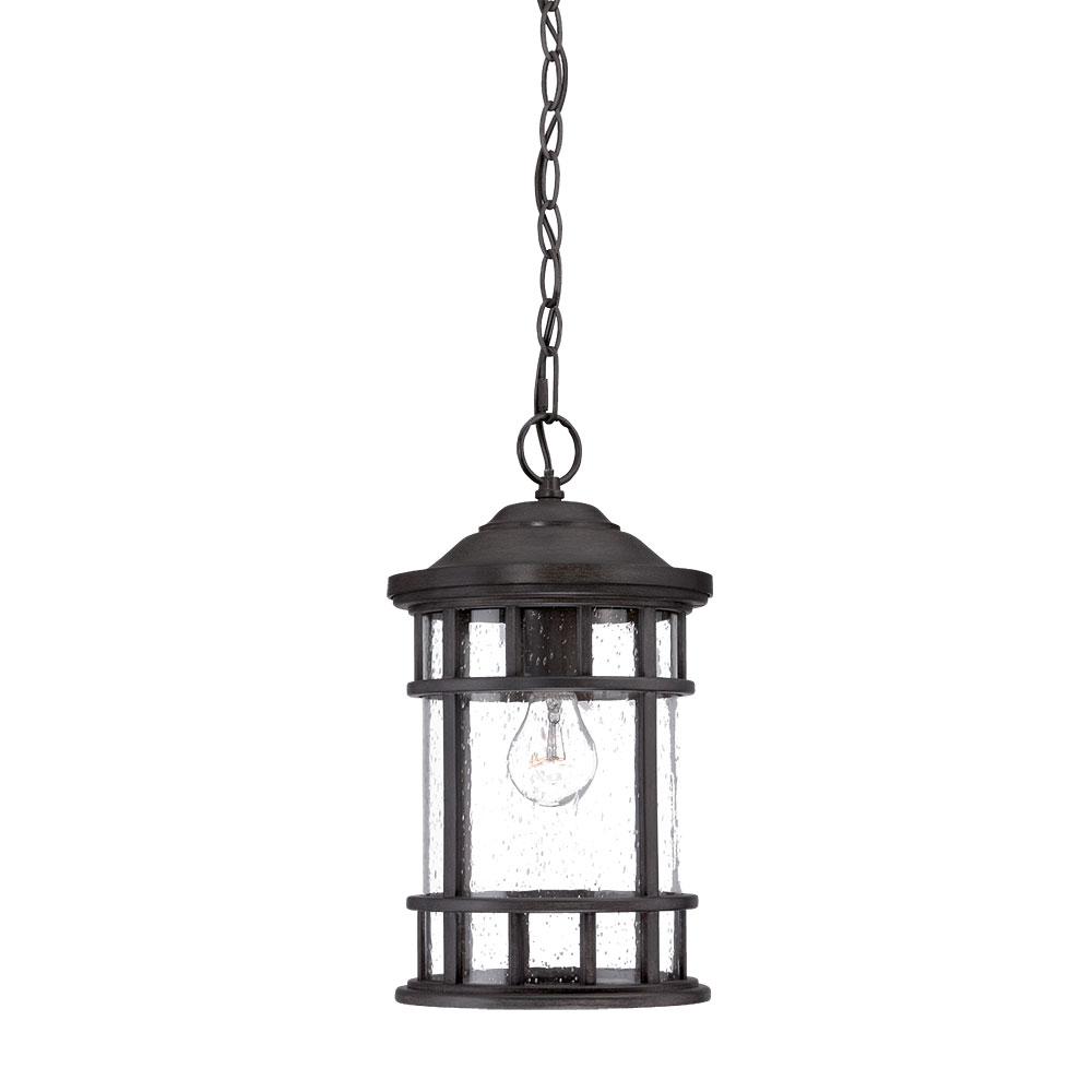 Vista II Collection Hanging Lantern 1-Light Outdoor Black Coral Light Fixture