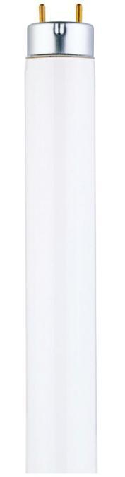 32W T8 Linear Fluorescent Cool White Medium BiPin Base, Box, 2-Pack