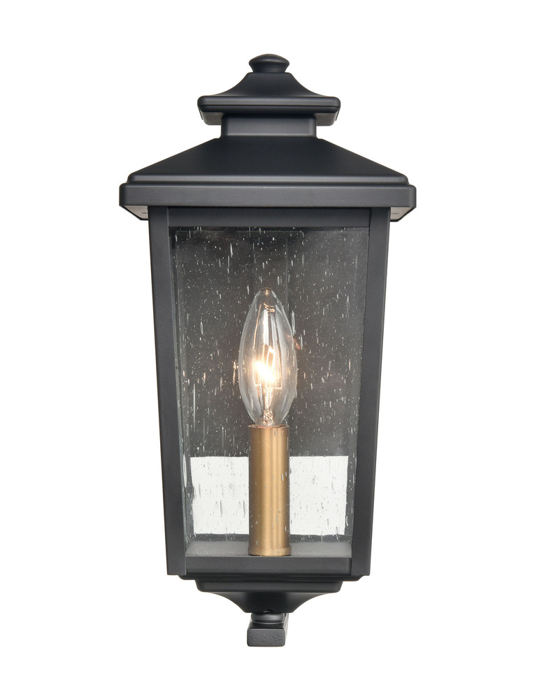 Eldrick 1-Light Outdoor Wall Sconce Powder Coated Black