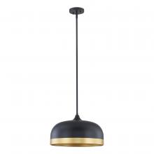 Millennium 99601-MB - Amarra Indoor Pendant