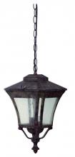 Yosemite Lighting 8013H9 - Hanging Lantern