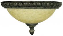 Yosemite Lighting F053C02TS - Bowl Flush Mount