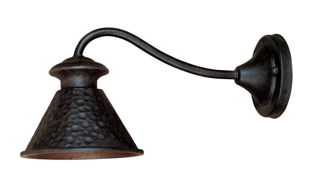 Dark Sky Essen 1-Light Outdoor Bronze Wall Lamp