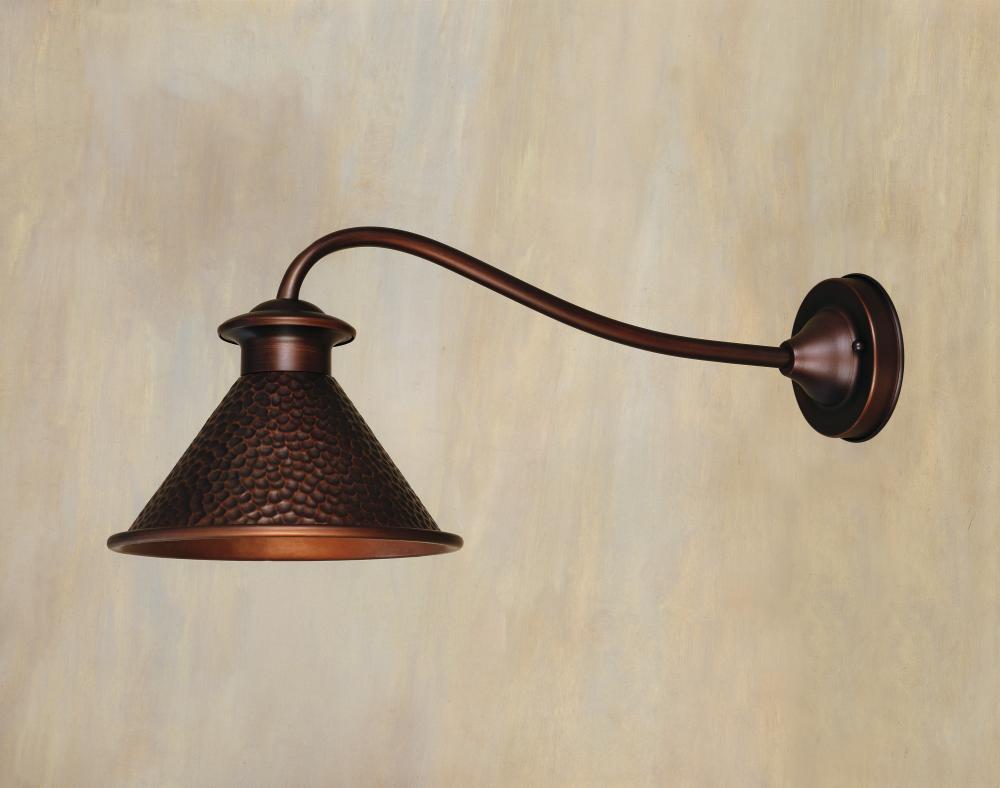 Dark Sky Essen 1-Light Outdoor Antique Copper Wall Lamp