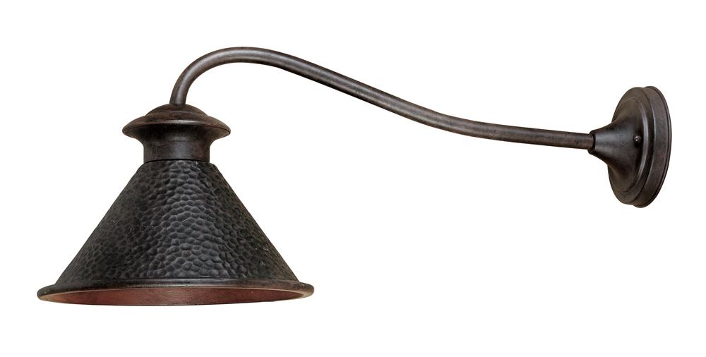 Dark Sky Essen 1-Light Outdoor Bronze Long-Arm Wall Lamp