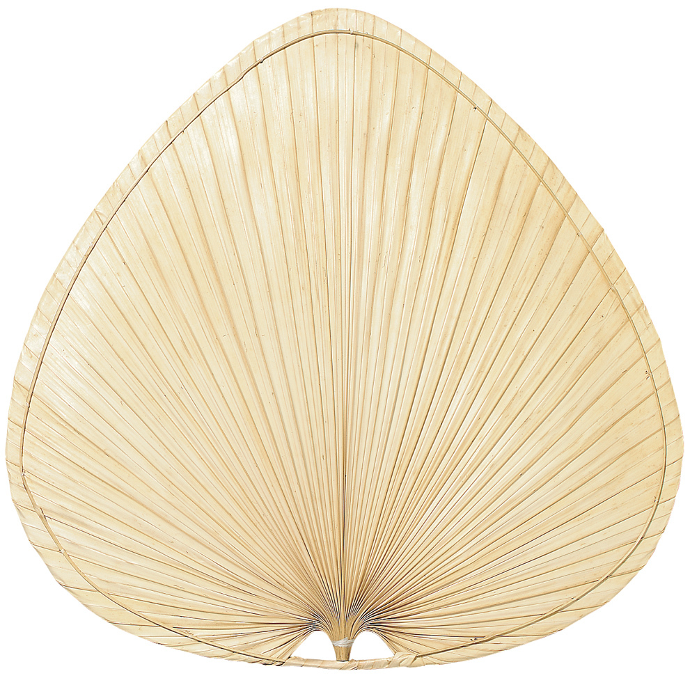 Palisade Blade Set of Eight-22 inch-Wide Oval Palm - N
